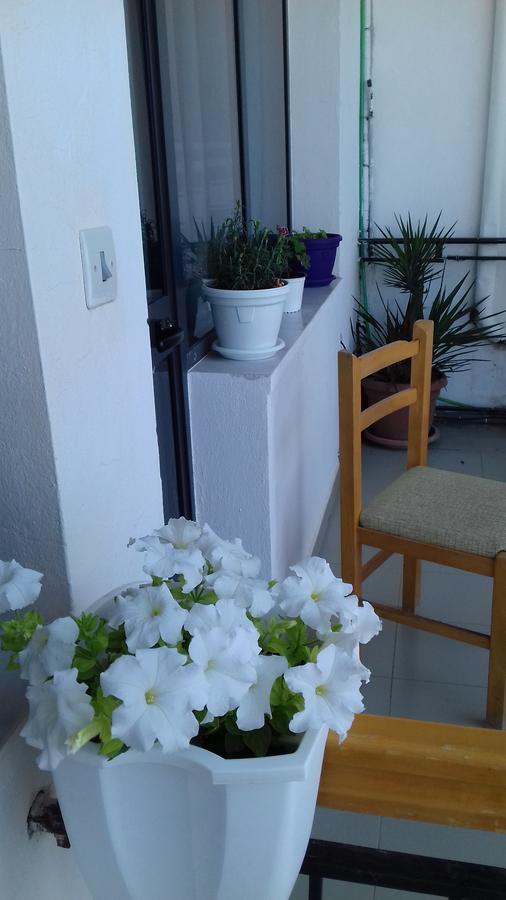 Kruja Hostel Extérieur photo